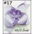 17 
