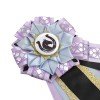 Equestrian Show Award Ribbon Bow Champion Award Rosette Ribbon Horse Show Ribbon Display Holder Horse Accessories